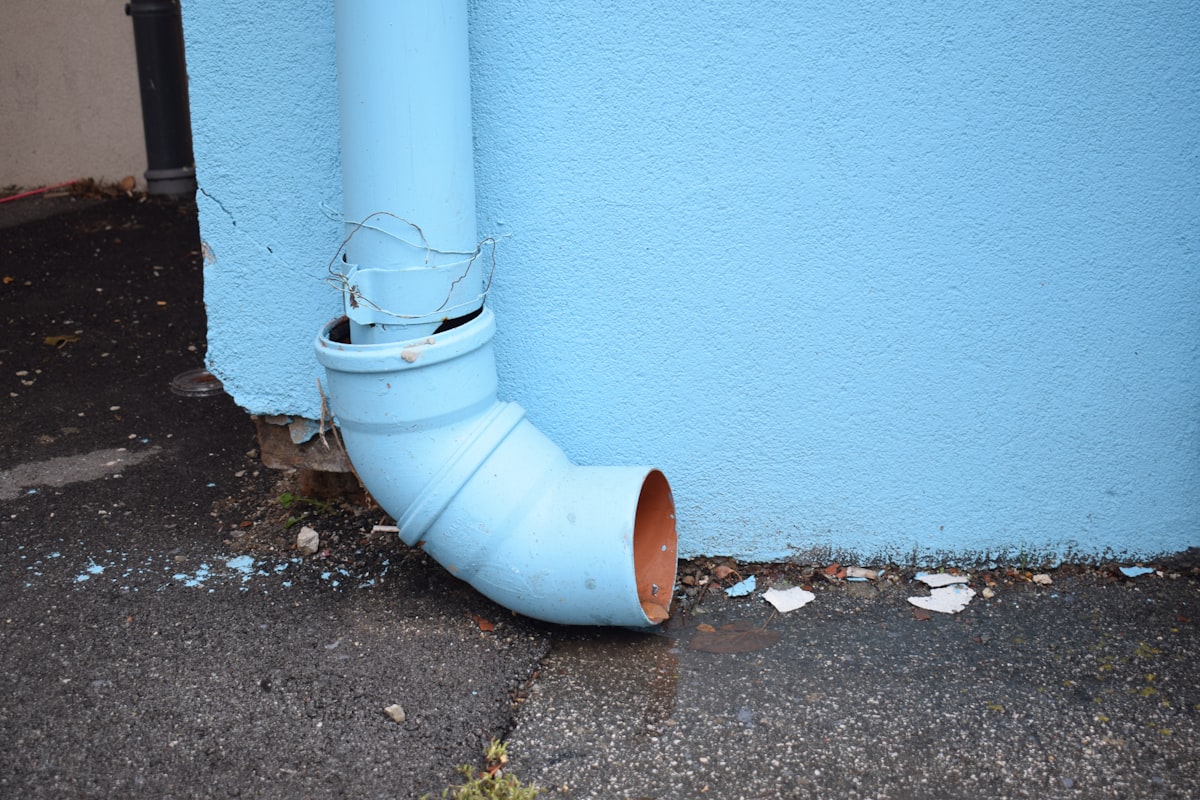 Mold Remediation service in Joliet, IL