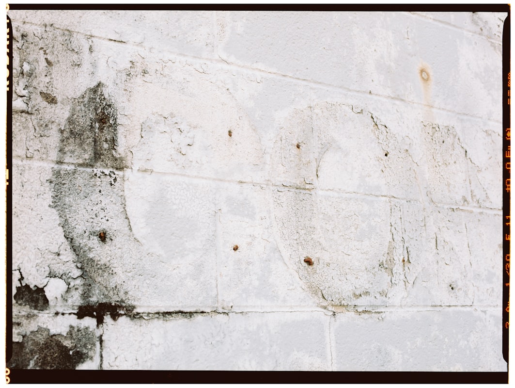 Water Extraction service in Joliet, IL