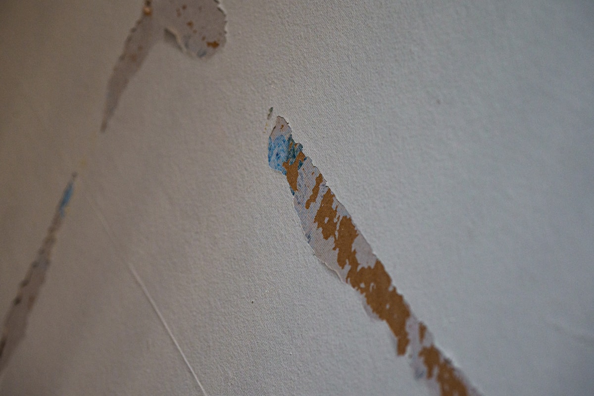 Storm Damage Repair service in Joliet, IL